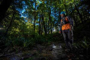 BIB: 
                            <button type="button" onclick="openModal(19240378)" class="btn btn-primary btn-sm float-right btn-popup" data-toggle="modal" data-target=".modal-high-quality">
                        <i class="fas fa-shopping-cart"></i> Add to Cart
                    </button>
                                            <button type="button" onclick="isThisMe(19240378, true)" class="btn btn-success btn-sm float-right btn-popup btn-isme hidden" data-toggle="tooltip" data-placement="bottom" title="นี่คือรูปของคุณใช่ไหม คลิกที่นี่เพื่อเอาเข้าอัลบั้ม">
                        <i class="fas fa-plus"></i> Add to album
                    </button>
                    <button type="button" onclick="isThisMe(19240378, false)" class="btn btn-warning btn-sm float-right btn-popup btn-isnotme hidden">
                        <i class="fas fa-ban"></i> Remove from album
                    </button>